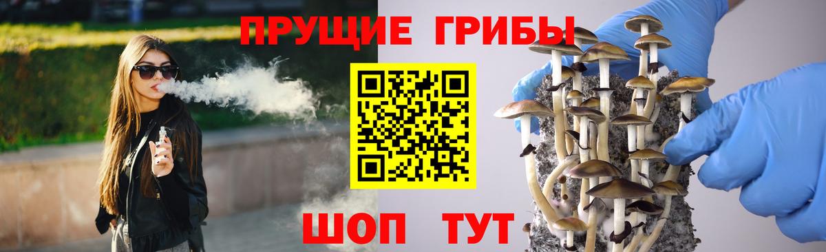 Королёв  Галлюциногенные грибы GOLDEN TEACHER  купить закладку  Вход с VPN 